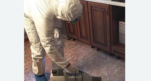 Уничтожение тараканов в квартире. Курганинск